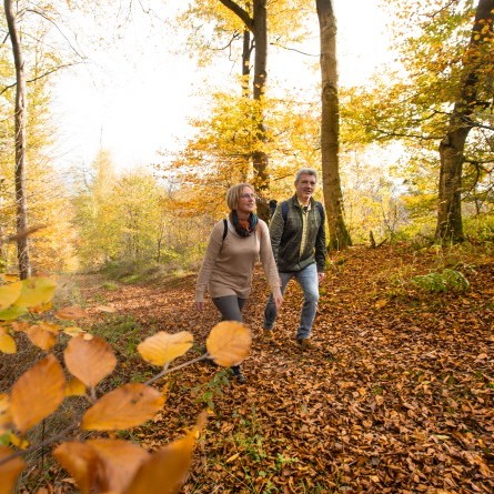 Alheimer Turm_Wanderung zum Turm mit Menschen_Urheber EMF_Fotograf Stefan Bochenek