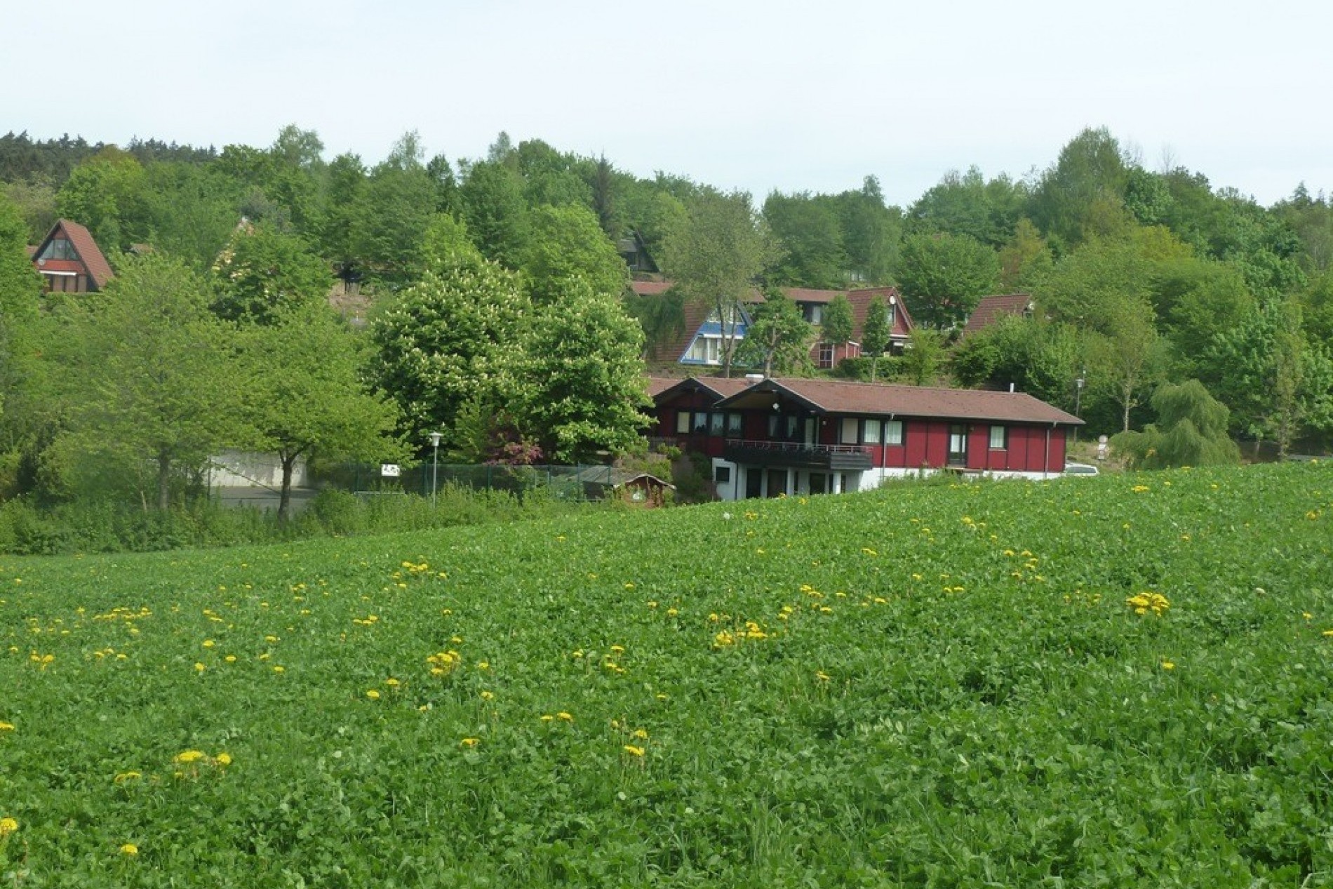 Fepa groß