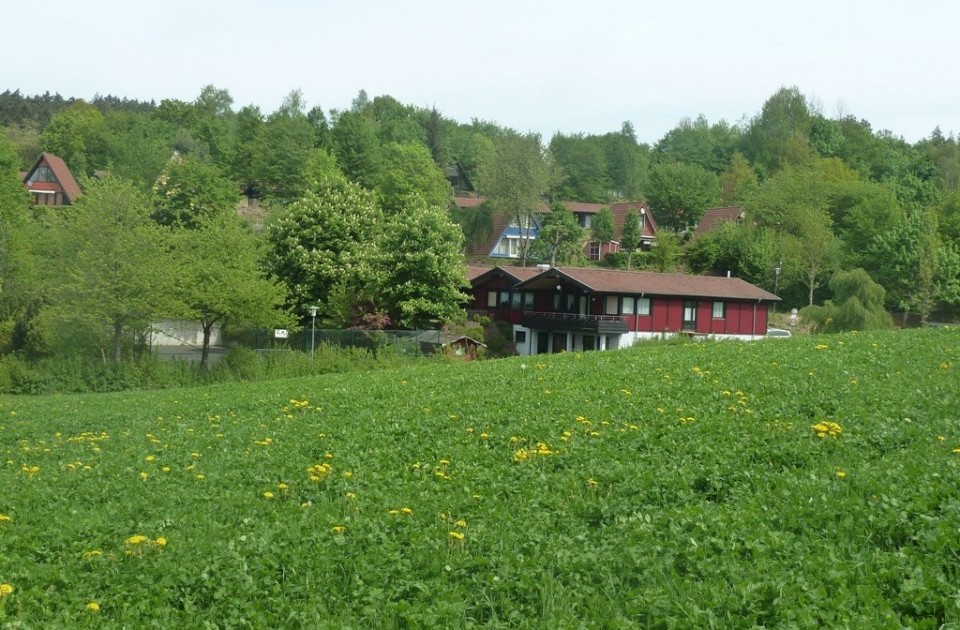 Fepa groß