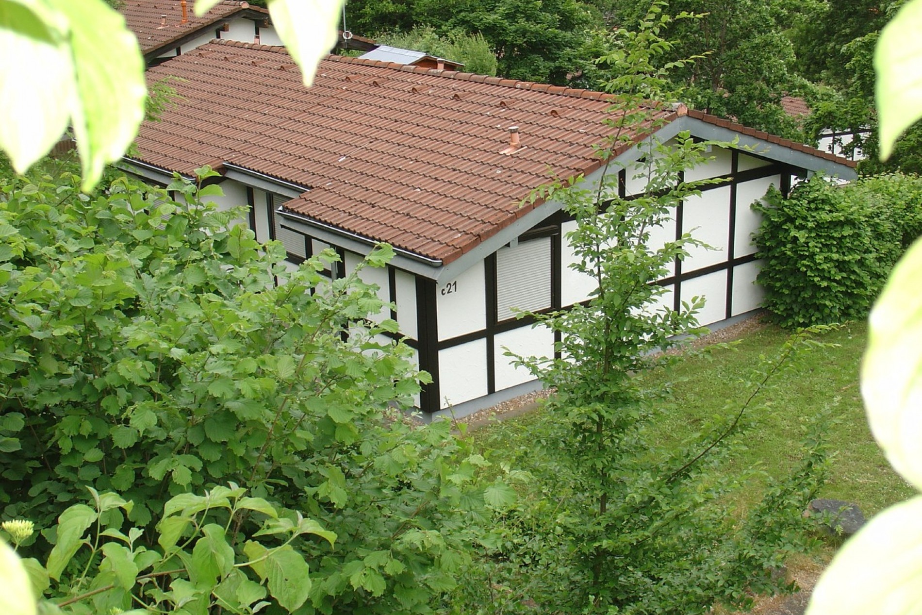 C21