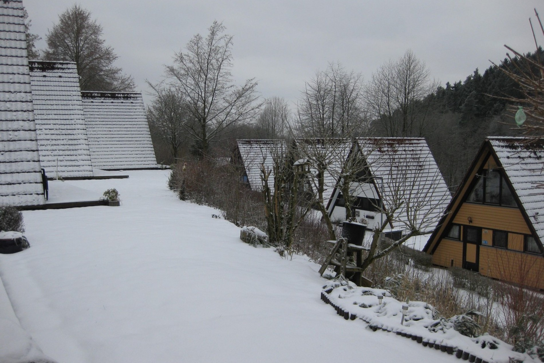 Winter