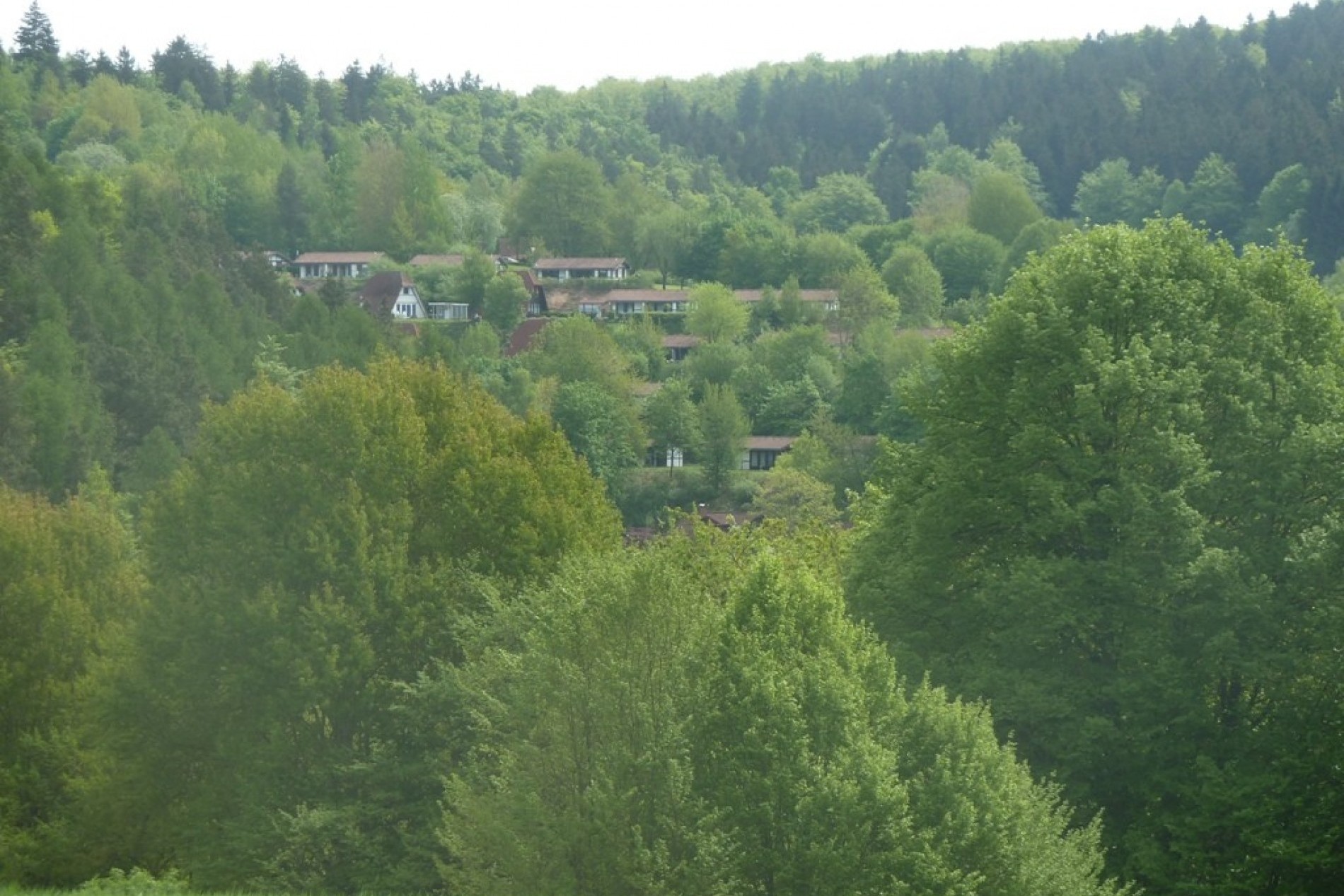 Park groß