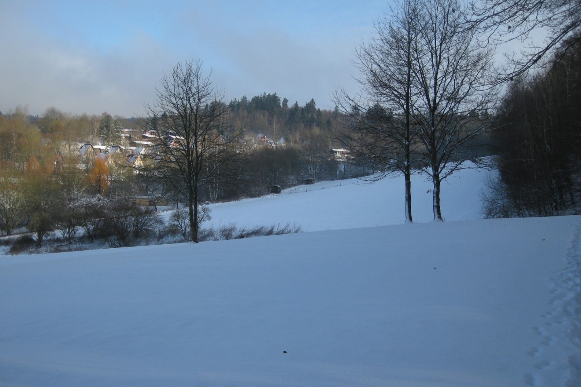 Winter