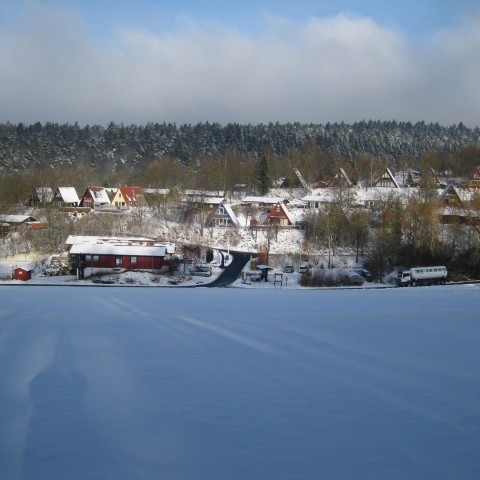 Winter Winter