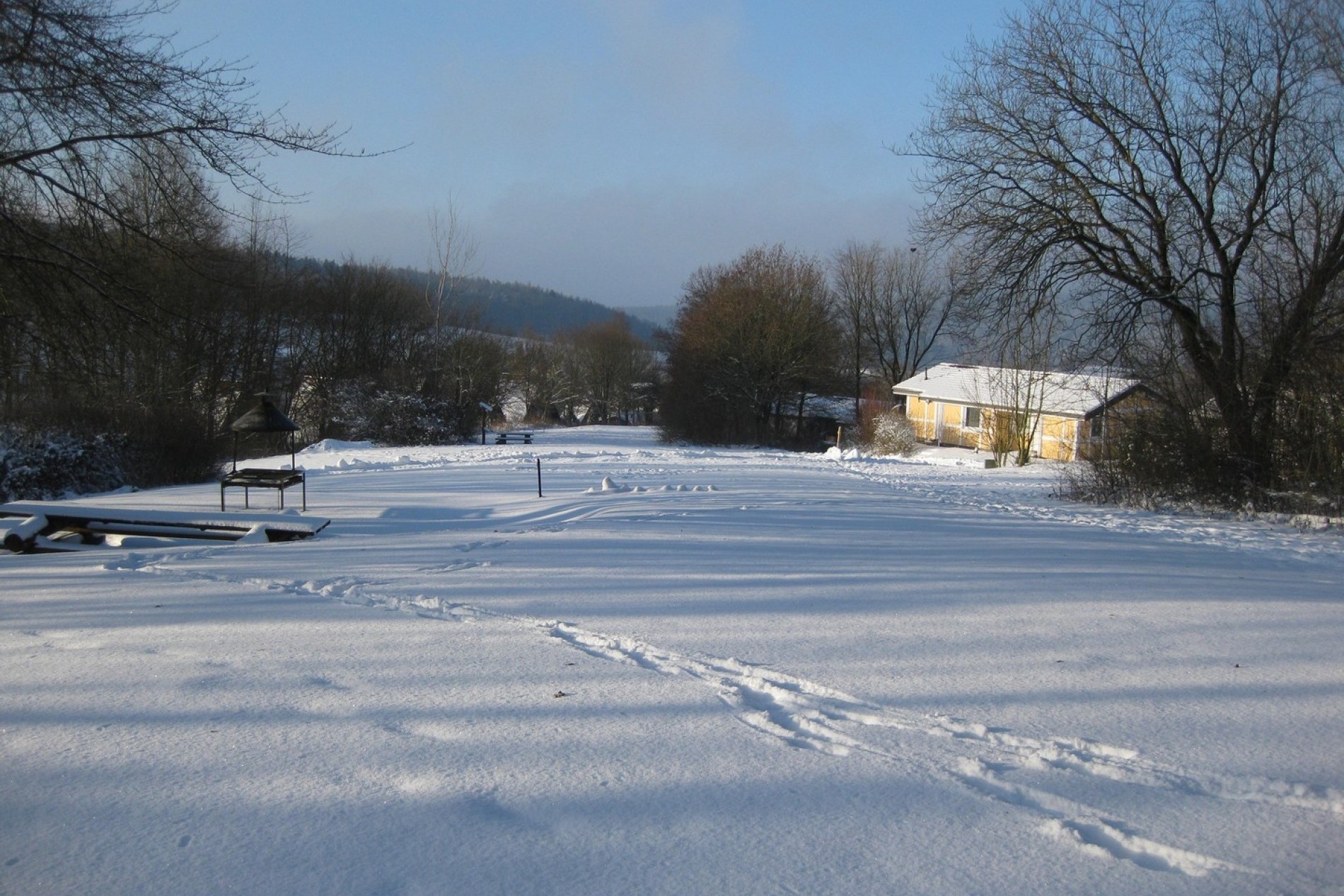 Winter
