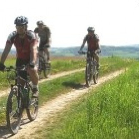 ed5e8451215acd307ada8fac07e22992