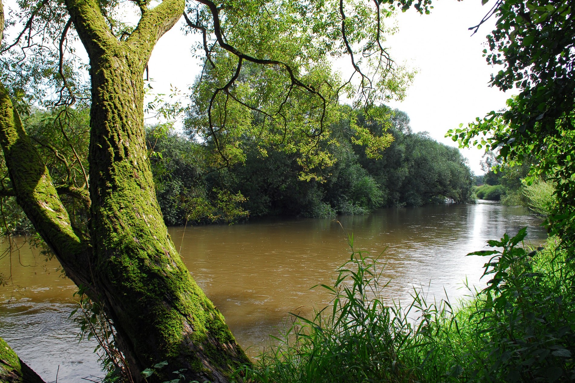 Rotenburg an der Fulda Blick auf die Fulda