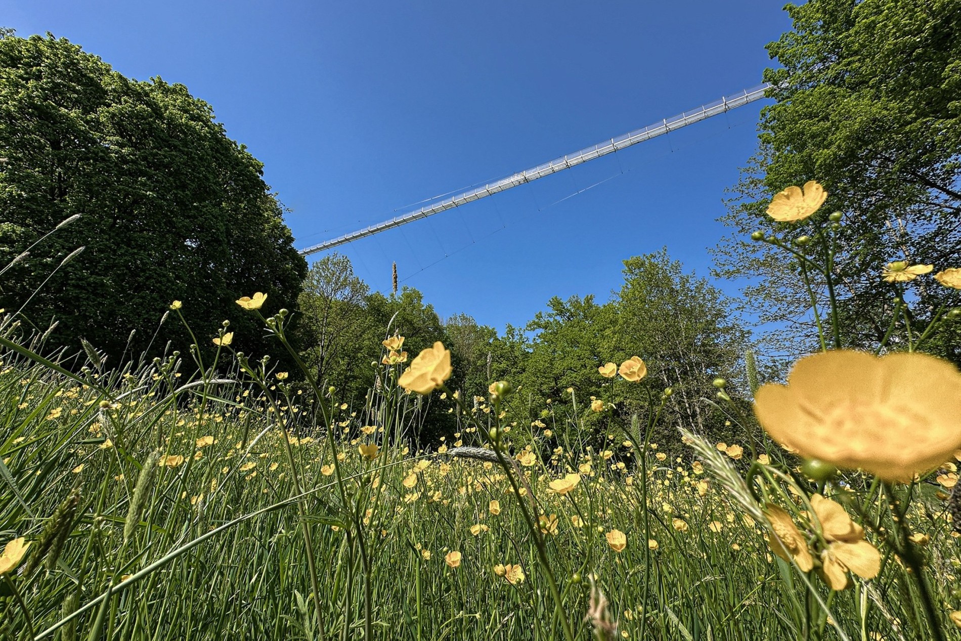 klein_Hängebrücke quer3_Highwalk Rotenburg_@Erlebnisregion Mittleres Fuldatal