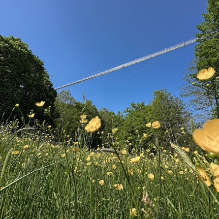 klein_Hängebrücke quer3_Highwalk Rotenburg_@Erlebnisregion Mittleres Fuldatal