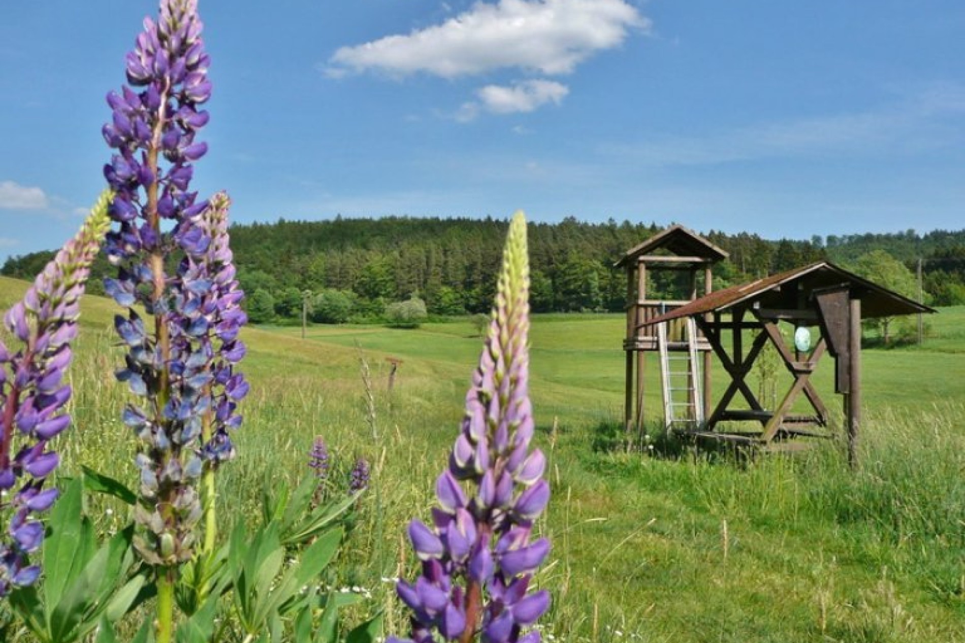 steinbachtal_031